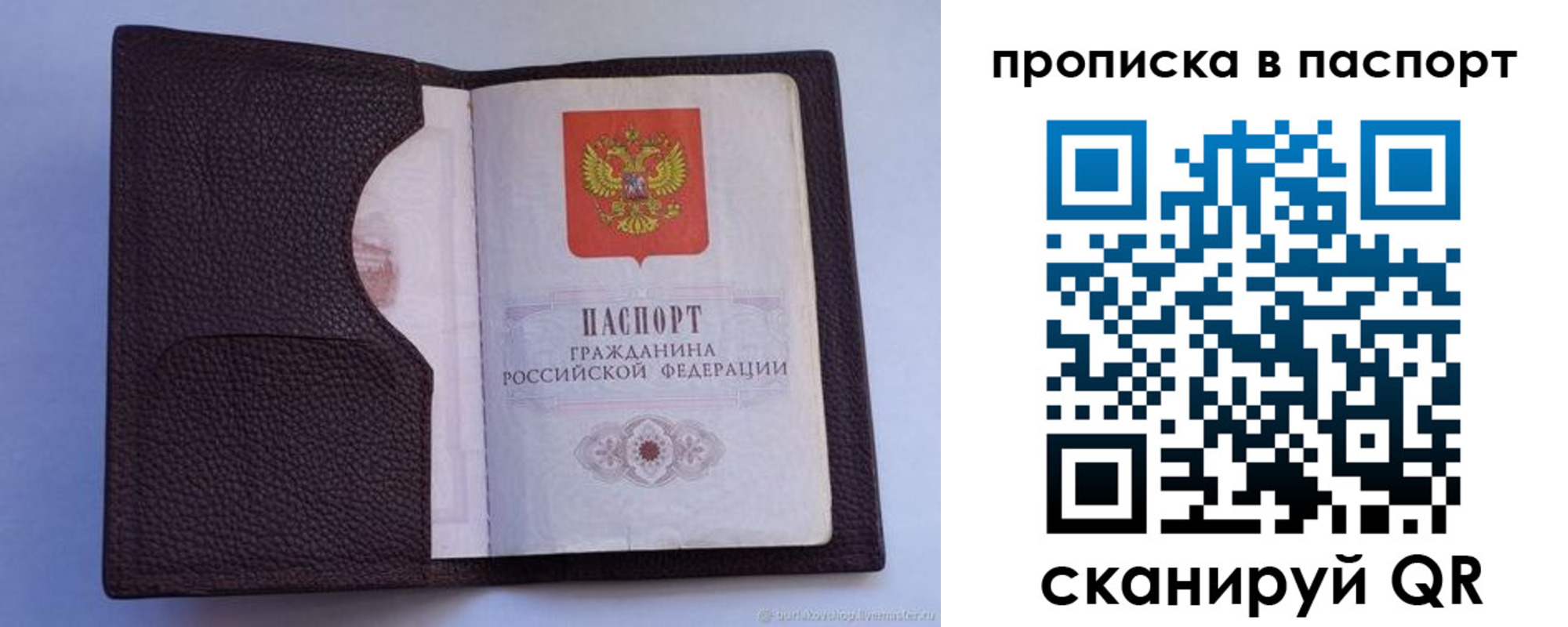 прописка законно в Палласовке